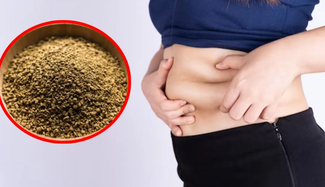 मोटापा से बचने के लिए क्या करें, जानिए सिर्फ एक क्लिक में