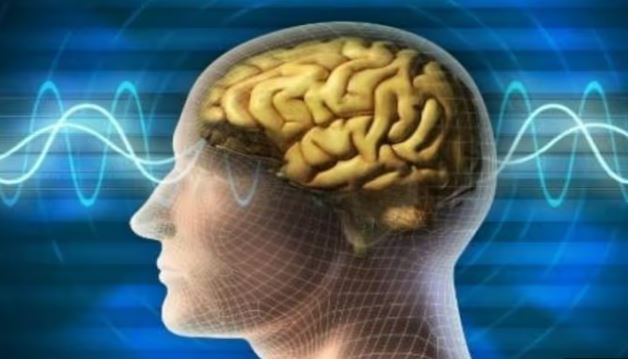 मरने से पहले इंसान के दिमाग में क्या चलता है? वीडियो में आ गया सामने